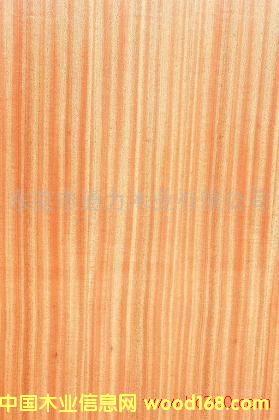 ɳؐ��ֱ�y��Ԕ����B