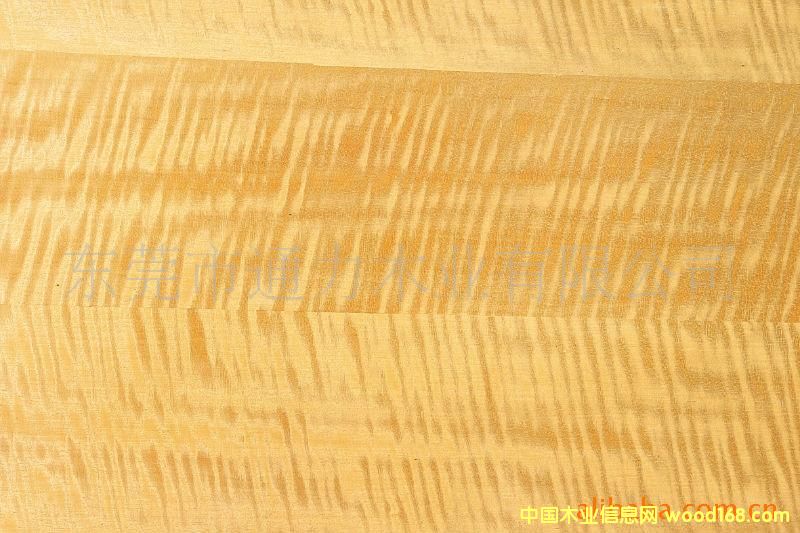 ��Ӱ��Ԕ����B