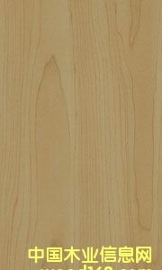 ������Ԕ����B