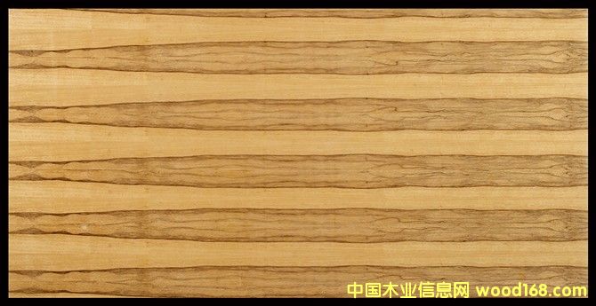 淋巴的詳細(xì)介紹