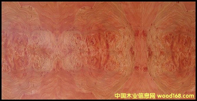 ��˹�����Ԕ��(x��)��B