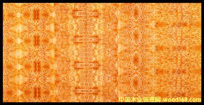 楓木樹榴的詳細(xì)介紹