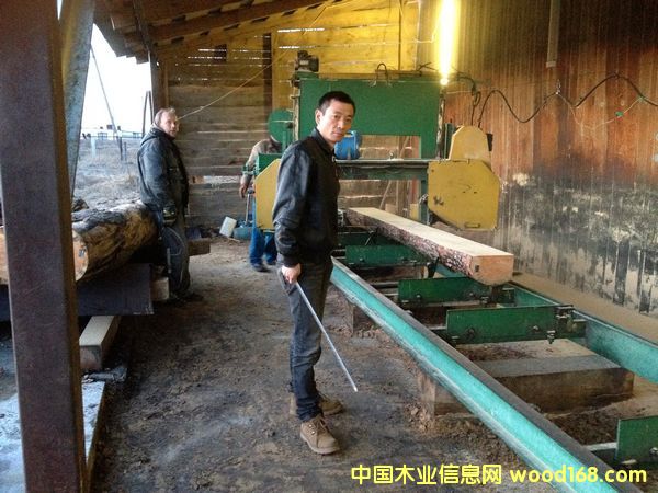 �����ɰ�ĵ�Ԕ����B