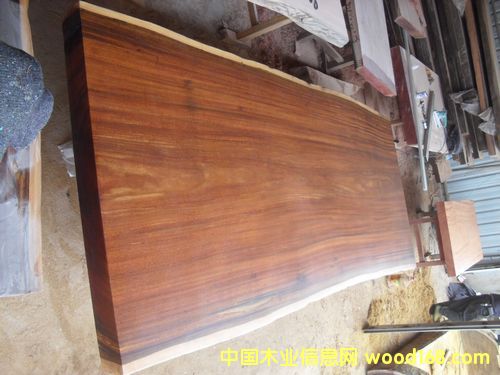 �ǲ����/��ľԭľ/�k����/����/����/��X��/���h��