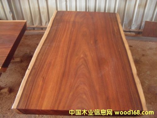 �ǲ����/�M�ڌ�ľԭľ/�k����/�k����/���h��/�ϰ���