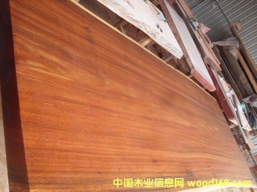 �ǲ����/��ľ�k����/����/����/��X��/���h��