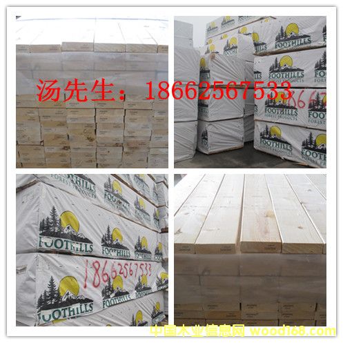 ���ɰ��SPF���