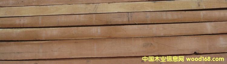 ����(gu��)�t����ľ��Ԕ��(x��)��B