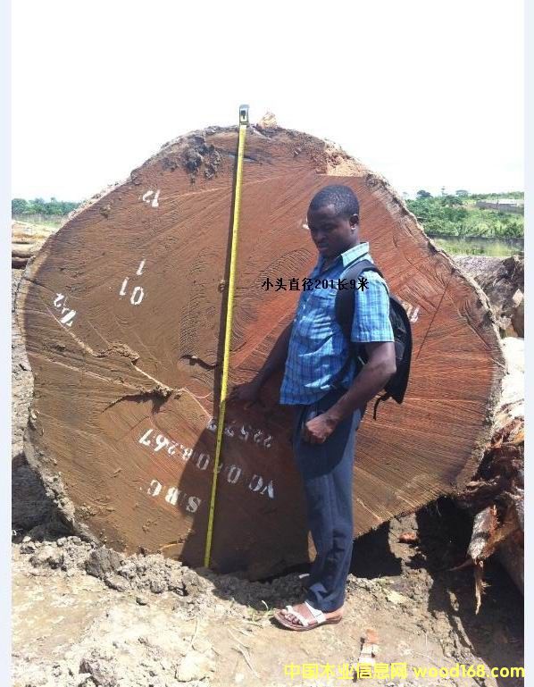 �ͻ���Ԕ����B