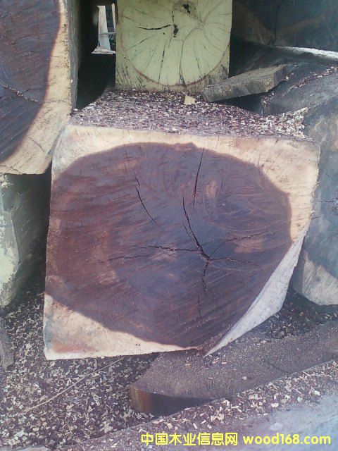 ΢���S̴��Ԕ����B