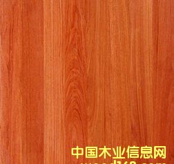 �����t��ľ��Ԕ����B