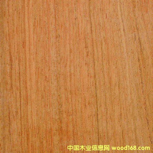 �\�~�Kľ��Ԕ����B