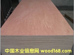 ���Ӱ��Ԕ����B