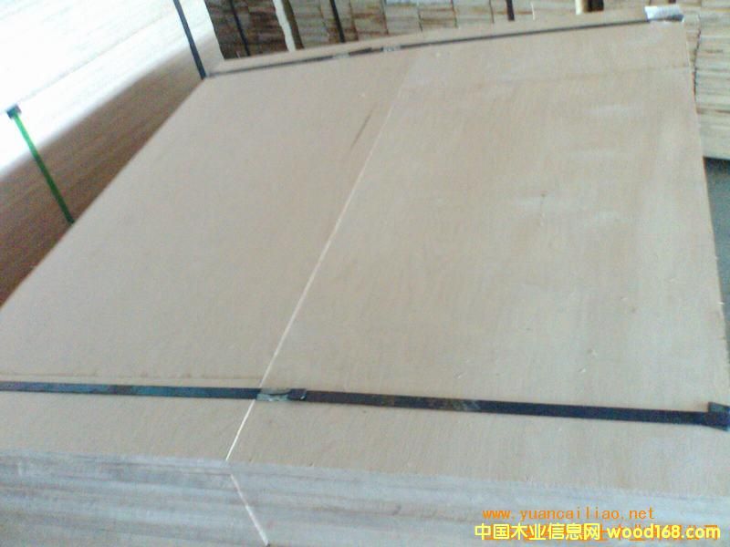 12��һ�γ���MR���b���Ԕ����B