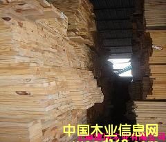 南方松的詳細介紹