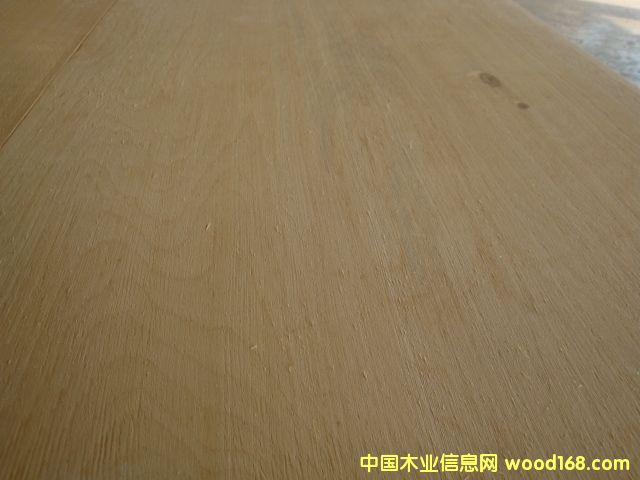 �c���鿴��ľ�z�ϰ��Ԕ���Y��