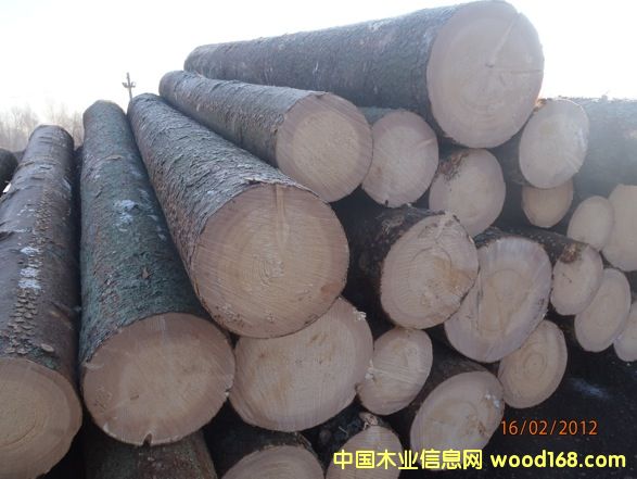 ��ɼ��Ԕ����B