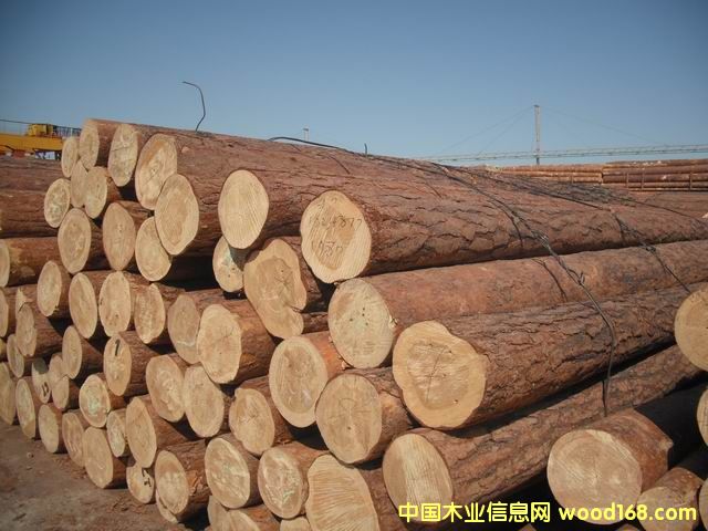 �tƤ���ɵ�Ԕ����B