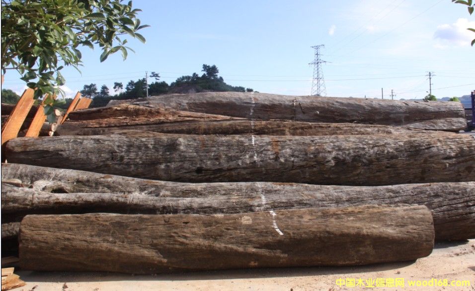 ����ɽ����̴