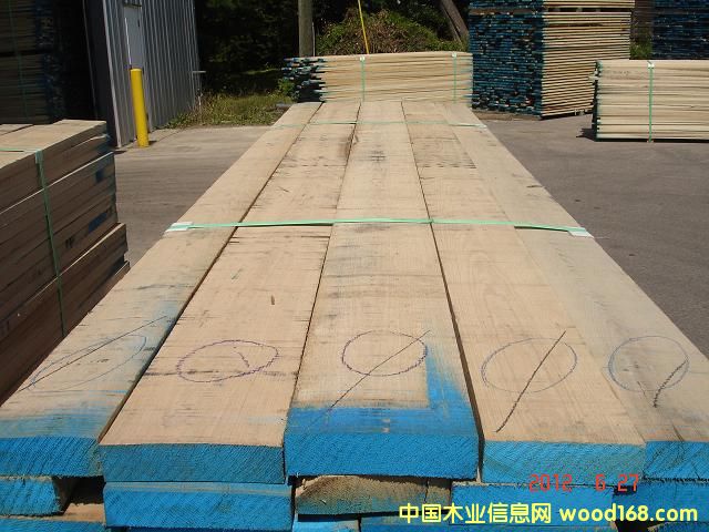 �t��ľ��Ԕ��(x��)��B