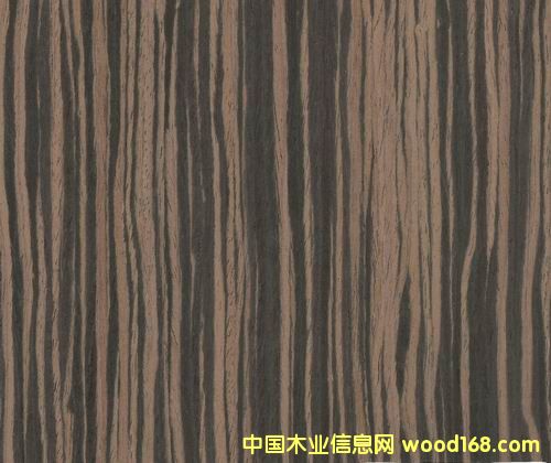 ��̴5813DS��Ԕ����B