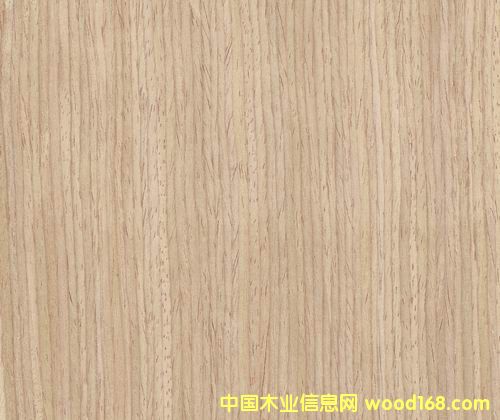 ����B01S��Ԕ����B