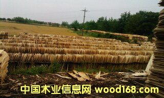 ���Іΰ��Ԕ����B