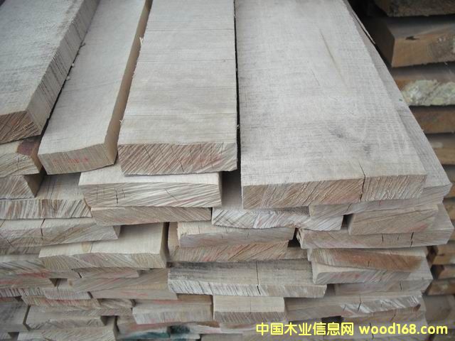 楓樺的詳細(xì)介紹