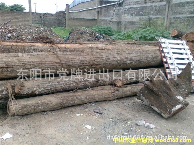 �Ʋ�ľ������֦����Ԕ����B