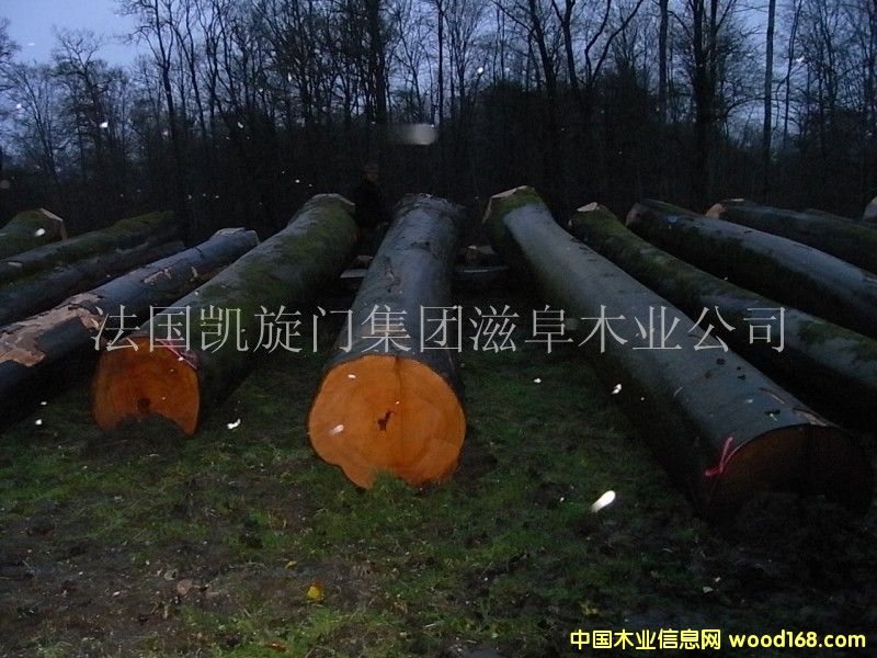 ����AB����ľԭľ��Ԕ����B