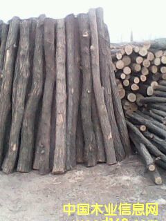 ��ľ1��Ԕ����B