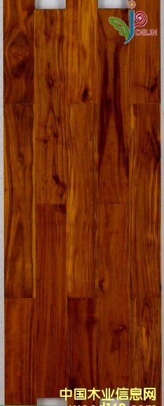 ��˼ľָ�ӵ�Ԕ��(x��)��B