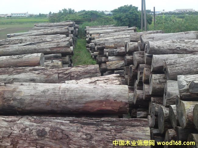 ���~��̴��Ԕ����B