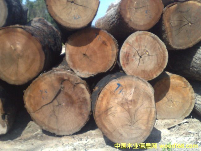 �t����ľ��Ԕ����B