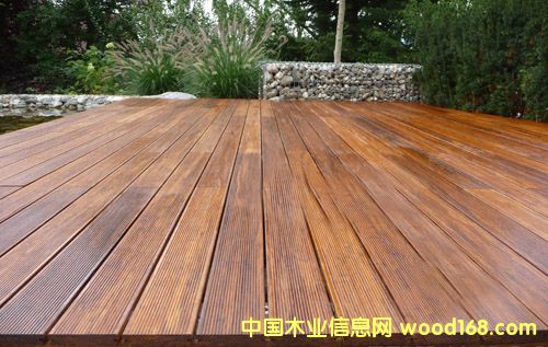 ����ĥ̿������ذ�