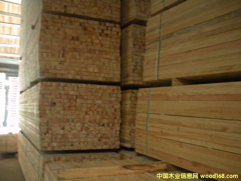 拉絲地龍骨的詳細(xì)介紹