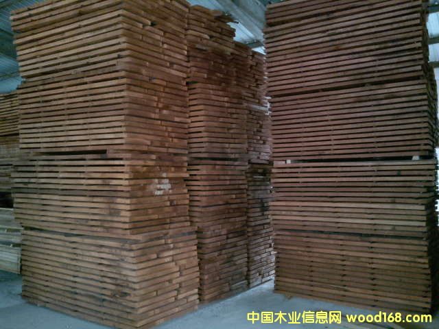 TER����ľ��Ԕ����B