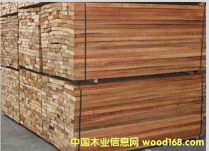 西南樺的詳細介紹