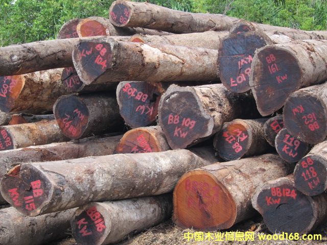 ���}��Kwila)��Ԕ����B