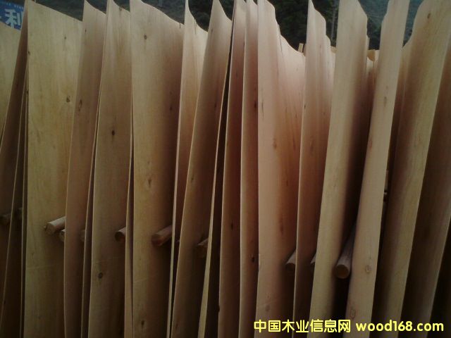 С�~��ľƤ��Ԕ����B