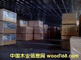 ݗ���ɼ��ɲĴ��Ԕ����B