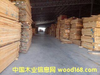 ݗ���ɟo����ɰ�ĵ�Ԕ����B