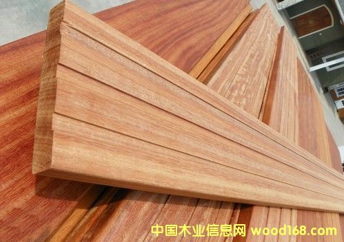 ���������ľ�ذ��Ԕ����B