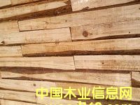 ��ƴ�壨��������Ԕ����B