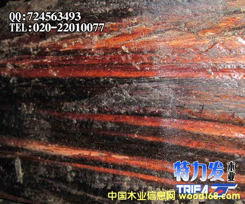 ��̴�Ҿ��ϵ�Ԕ����B