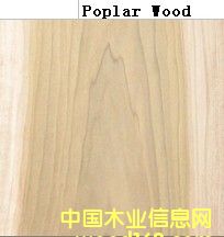 �M�ڗ���Ԕ����B