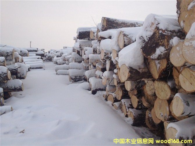 ���_˹��ľ��ĵ�Ԕ����B