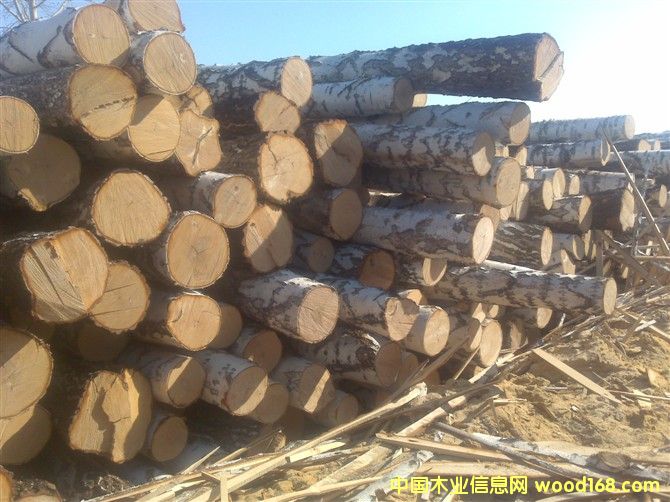 ���_˹��ľ���