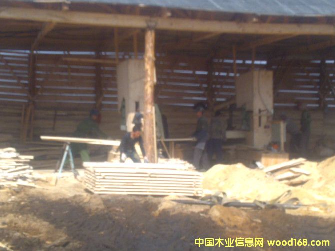 ���_˹��ľ��ĵ�Ԕ����B