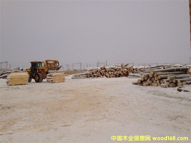 ���_˹��ľ��ĵ�Ԕ����B